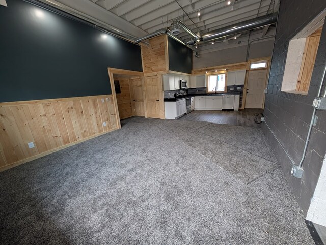 115 N Main St, Mount Gilead, OH 43338 - unfurnished living room with wainscoting, a high ceiling, and dark carpet
