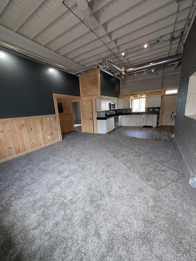 115 N Main St, Mount Gilead, OH 43338 - interior space featuring a wainscoted wall, carpet flooring, wood walls, a garage, and a sink