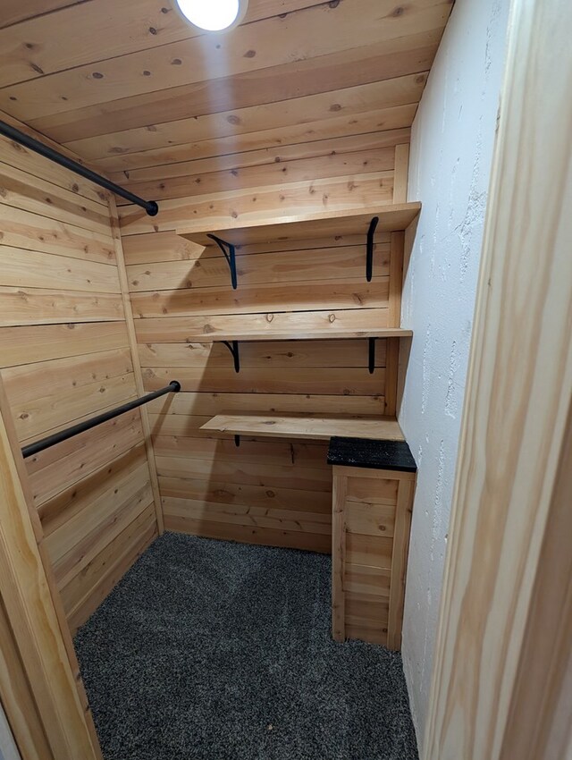 115 N Main St, Mount Gilead, OH 43338 - storage area with a sauna