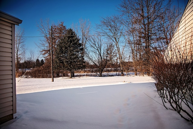 view of yard layered in snow