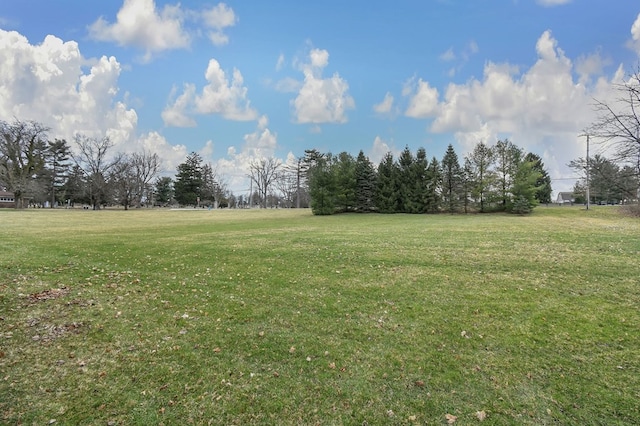 375 Buckeye Rd, Galion, OH 44833 - photo 43