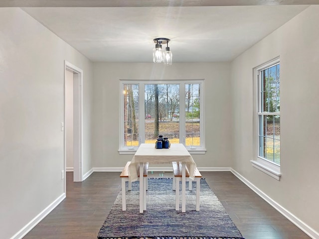 unfurnished dining area featuring baseboards and dark wood-style flooring