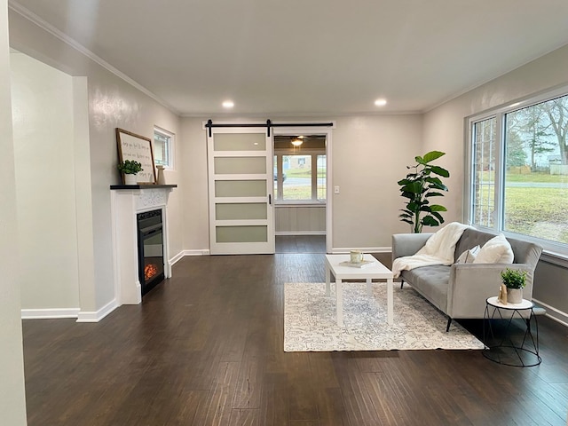 living room with dark wood-type flooring, a barn door, baseboards, and ornamental molding