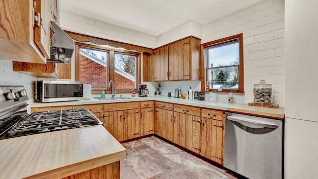 kitchen with sink, stainless steel appliances, and a wealth of natural light