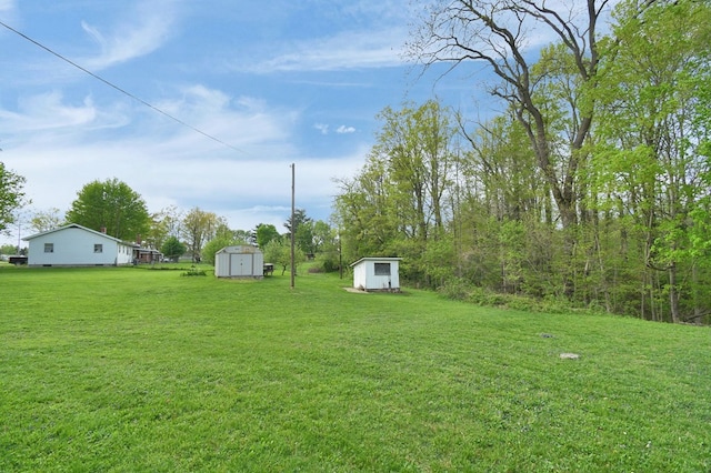 view of yard featuring a storage shed and an outbuilding