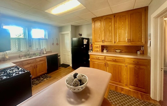 kitchen with a drop ceiling, sink, black appliances, and light wood-type flooring