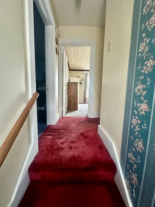 hall with carpet floors