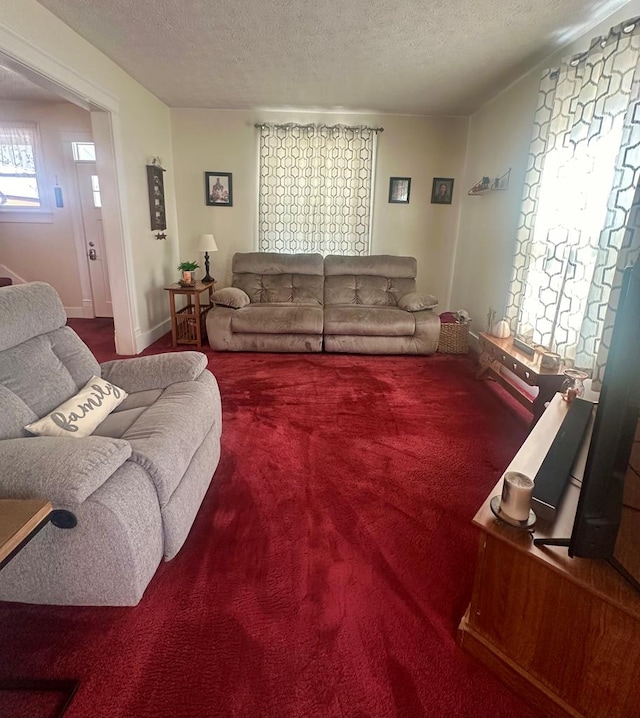 living room with carpet flooring and a textured ceiling