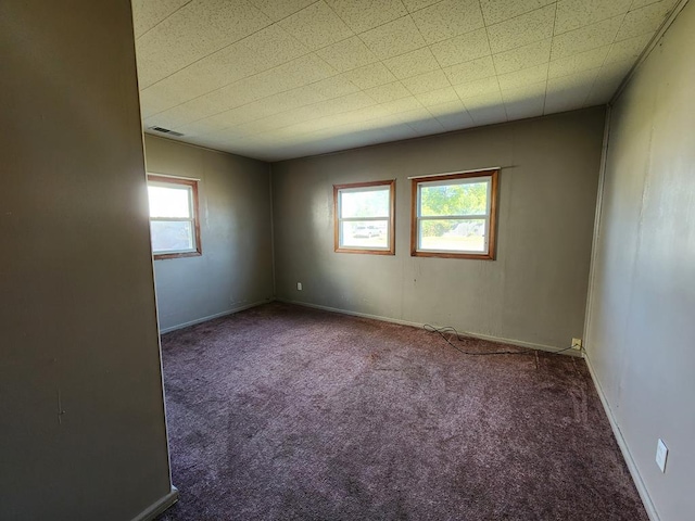 spare room with carpet floors and a wealth of natural light