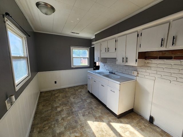 kitchen with white cabinets, plenty of natural light, ornamental molding, and sink