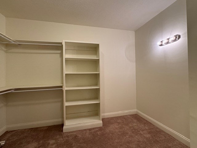 spacious closet with dark carpet