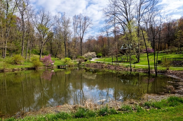 1406 Pearl Dr, Loudonville, OH 44842 - photo 7