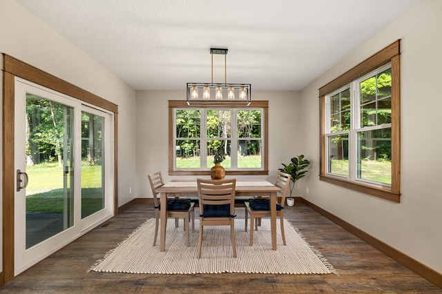 dining space with a healthy amount of sunlight and dark hardwood / wood-style floors