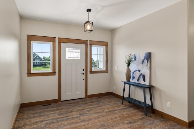 foyer entrance with dark hardwood / wood-style flooring and plenty of natural light