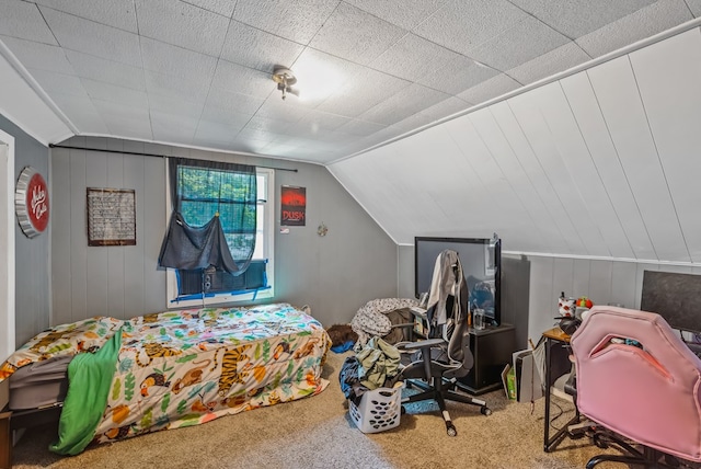 247 3rd St, Larue, OH 43332 - bedroom featuring carpet and vaulted ceiling