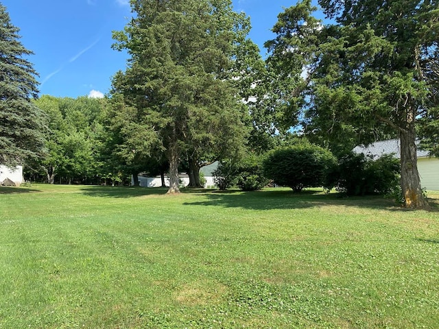 125 N High St, Jeromesville, OH 44840 - photo 25