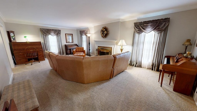 carpeted living room with a fireplace and ornamental molding