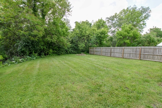 821 Charles St, Galion, OH 44833 - view of yard
