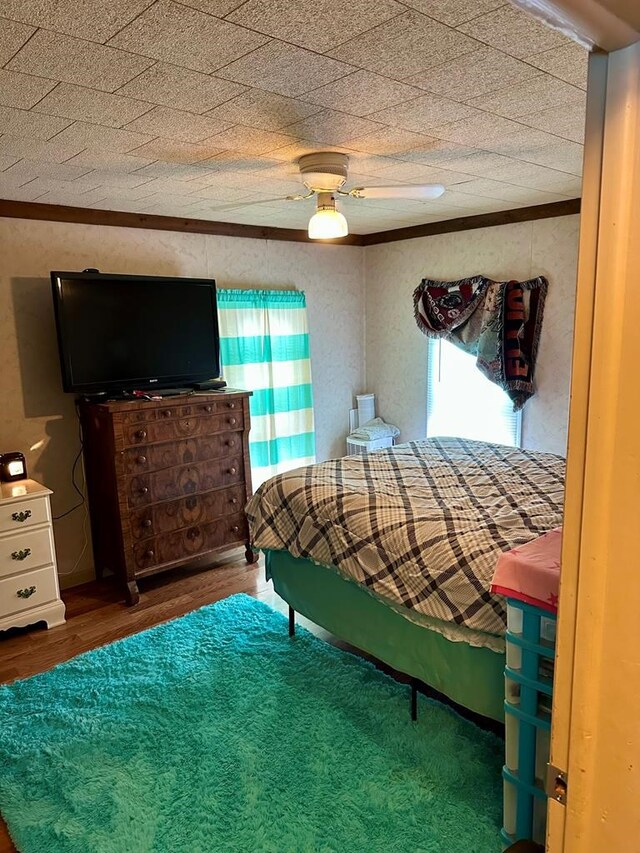 941 State Route 58, Ashland, OH 44805 - photo 24