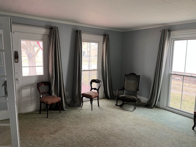 living area with ornamental molding and light colored carpet