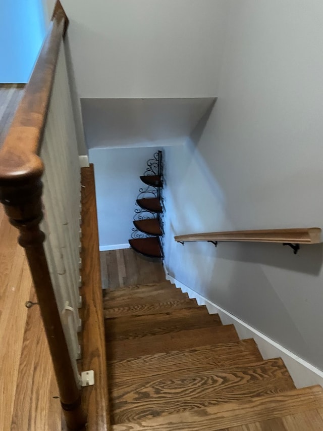 staircase with wood finished floors