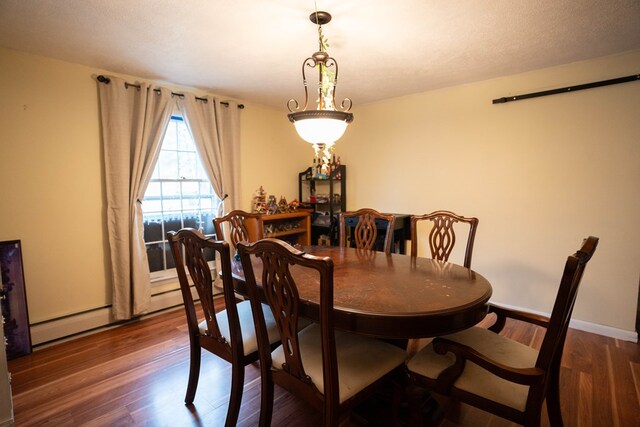 dining room featuring wood finished floors and a baseboard radiator
