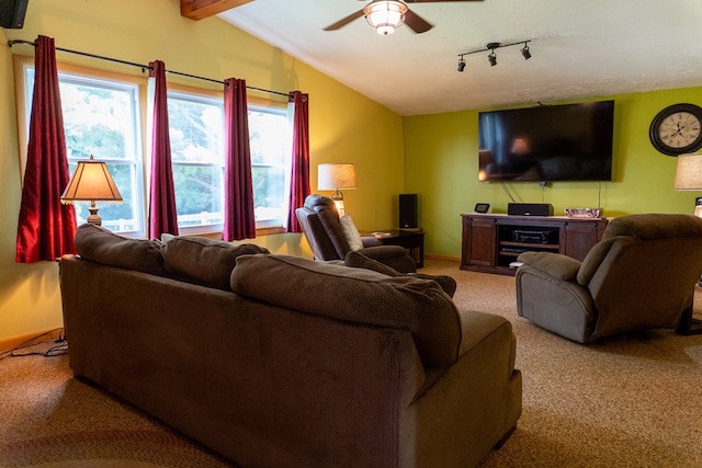 5837 Township Road 103, Mount Gilead, OH 43338 - carpeted living room with lofted ceiling, a ceiling fan, and rail lighting