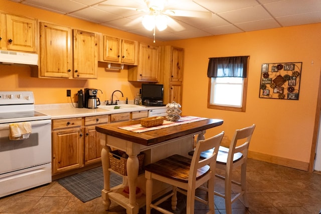 5837 Township Road 103, Mount Gilead, OH 43338 - kitchen featuring white range with electric stovetop, under cabinet range hood, a ceiling fan, a paneled ceiling, and light countertops