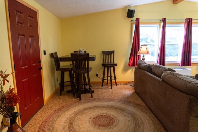 5837 Township Road 103, Mount Gilead, OH 43338 - carpeted living area featuring baseboards