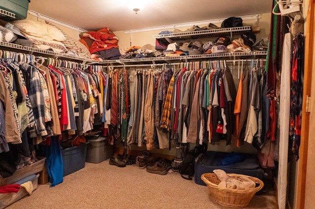 5837 Township Road 103, Mount Gilead, OH 43338 - walk in closet featuring carpet floors