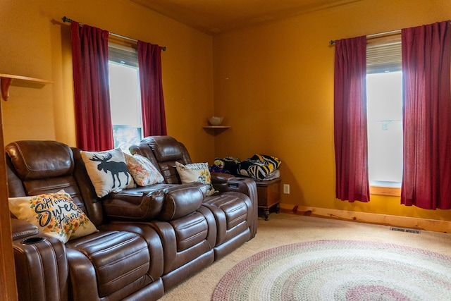 5837 Township Road 103, Mount Gilead, OH 43338 - carpeted living area with plenty of natural light