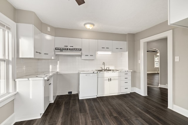 459 Glessner Ave, Mansfield, OH 44903 - kitchen with a sink, dishwasher, ceiling fan, dark wood-style flooring, and backsplash