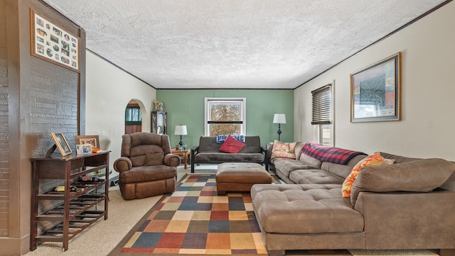 carpeted living room featuring ornamental molding and a textured ceiling