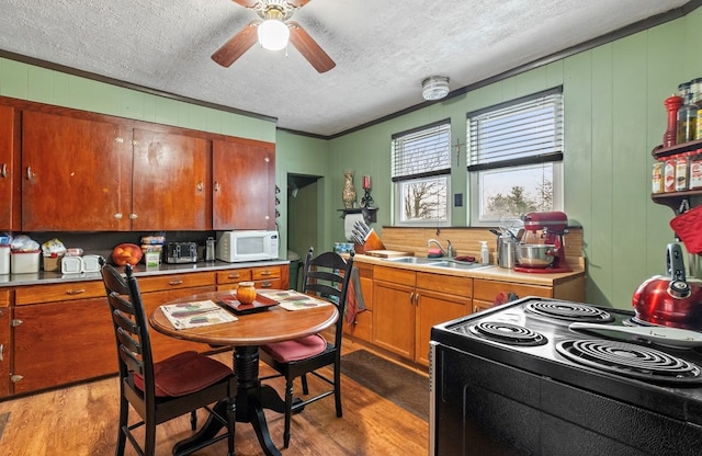 kitchen with sink, a textured ceiling, light hardwood / wood-style flooring, electric range, and ceiling fan