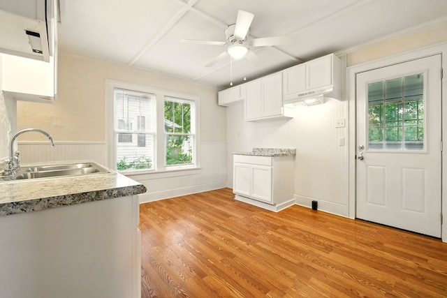 411 Grace St, Mansfield, OH 44902 - kitchen with a sink, light wood finished floors, white cabinetry, under cabinet range hood, and a wainscoted wall