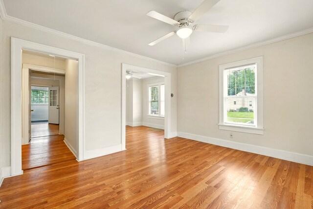 411 Grace St, Mansfield, OH 44902 - spare room featuring ceiling fan, light wood-type flooring, ornamental molding, and baseboards
