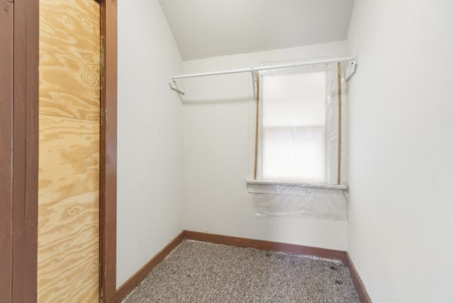 spacious closet featuring carpet