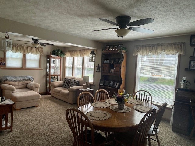 48 W Wilson St, Butler, OH 44822 - photo 18