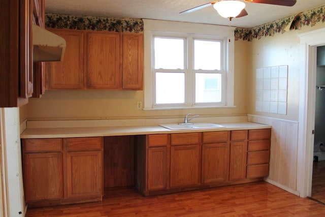 kitchen featuring light hardwood / wood-style floors, ceiling fan, and sink