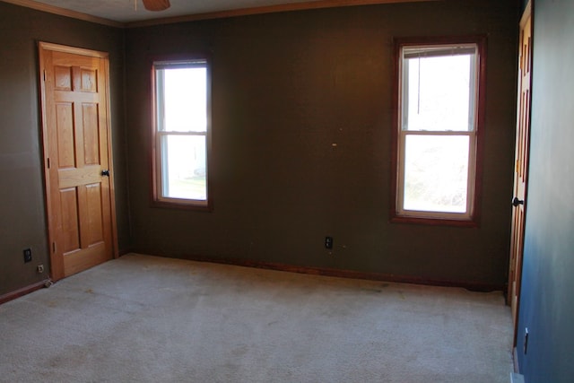 carpeted spare room featuring ceiling fan and crown molding