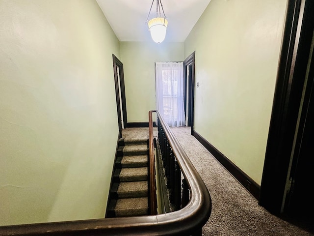 staircase with carpet floors