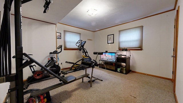 135 W Smiley Ave, Shelby, OH 44875 - workout room featuring crown molding and carpet floors