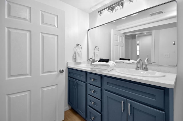 bathroom with vanity and wood-type flooring