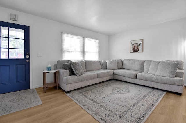 living room with wood-type flooring