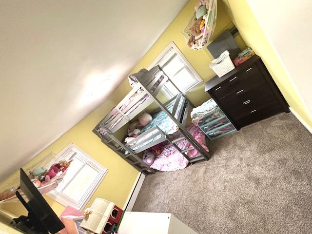 interior space featuring carpet