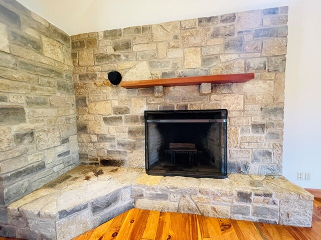 details featuring wood finished floors and a fireplace