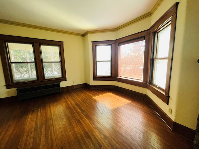 spare room featuring baseboards, ornamental molding, and dark wood-type flooring