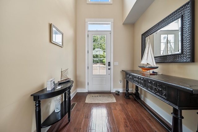 7326 State Route 19, Mount Gilead, OH 43338 - foyer entrance with healthy amount of natural light and dark wood-style flooring