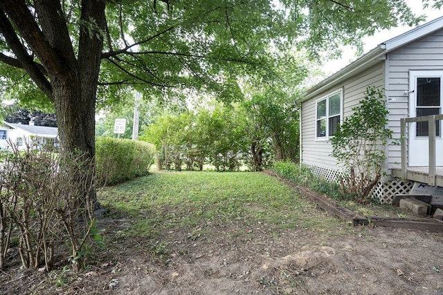 942 Lenox Ave, Mansfield, OH 44906 - view of yard