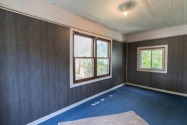942 Lenox Ave, Mansfield, OH 44906 - unfurnished room with carpet floors and wood ceiling